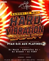 Flyer de Hard Vibration